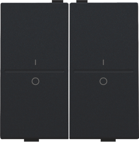NIKO TOETS 2x RF / BUS "I-O"