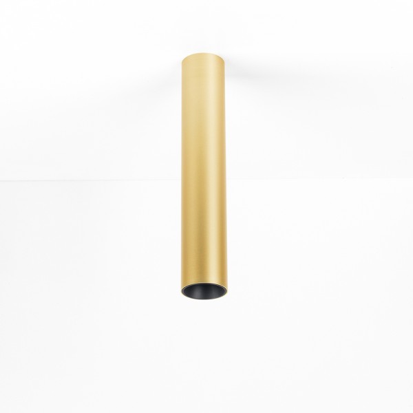 EXTERUS Nala ON M Champagne 930 24°