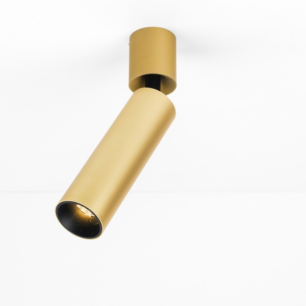 EXTERUS Nala O4 Champagne 927 36°